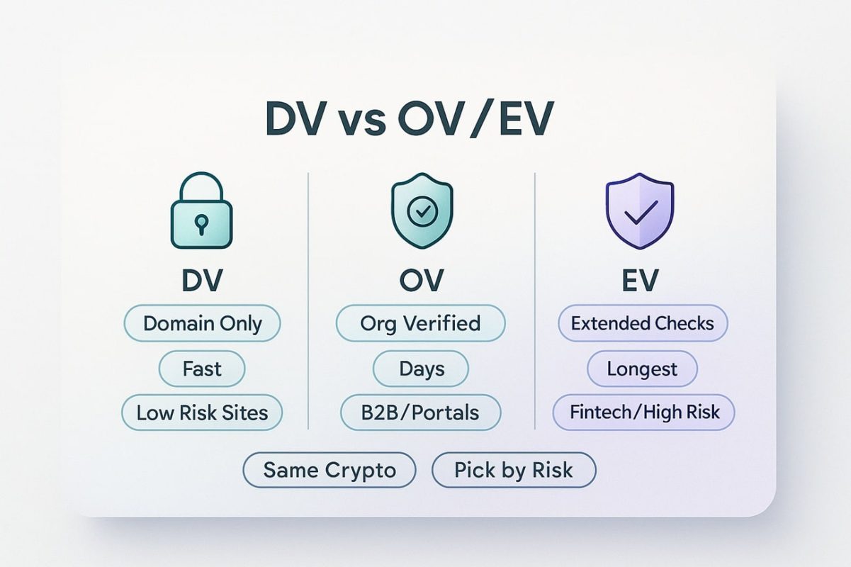 DV در برابر OV/EV